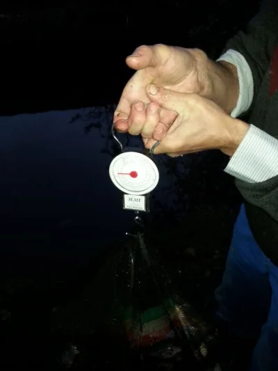 Exceptionnelle bourriche gardon de pêche à la perle