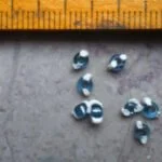 perles pour la pêche avec germes numéro 3052