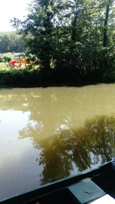 Sambre et la pêche à la perle