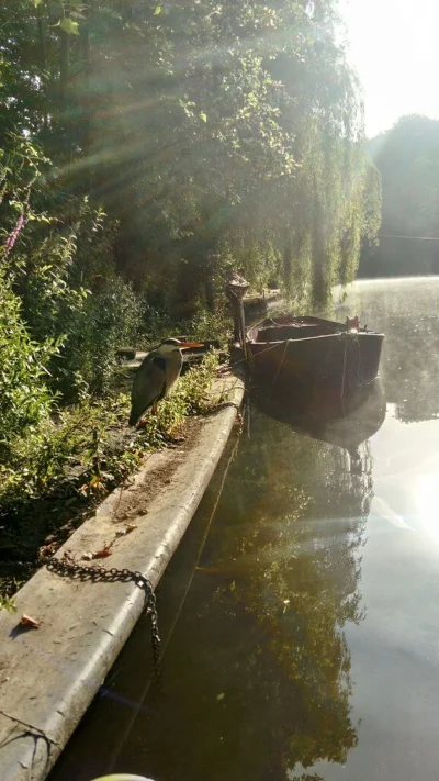 Sambre et la pêche à la perle