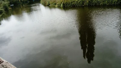 Sambre et la pêche à la perle