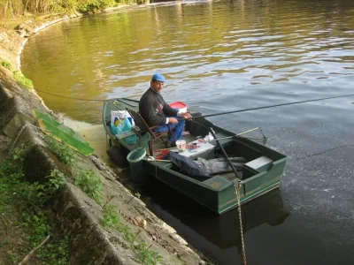 phil le prleur et la pêche à la perle