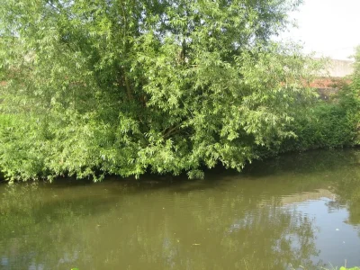 magnifique endroit pour la pêche à la perle
