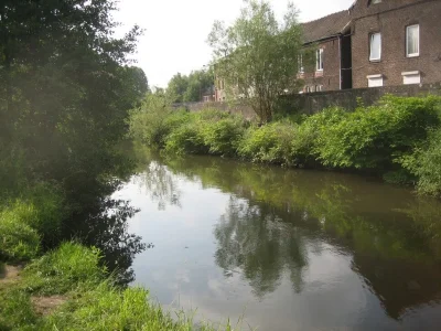 magnifique endroit pour la pêche à la perle