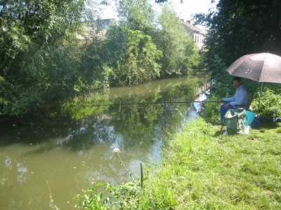 Phil le perleur et la pêche à la perle