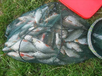 bourriche de la pêche à la perle