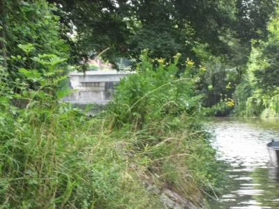 Sambre et la pêche à la perle