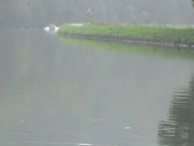 Sambre et la pêche à la perle