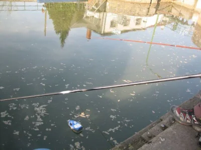 Phil le perleur et la pêche à la perle