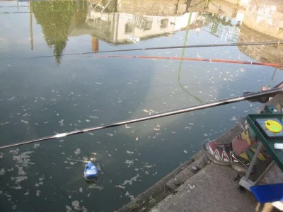 Phil le perleur et la pêche à la perle