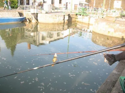 Phil le perleur et la pêche à la perle