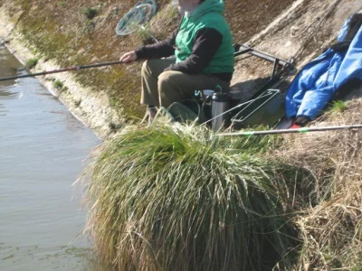 Copains de pêche à la perle