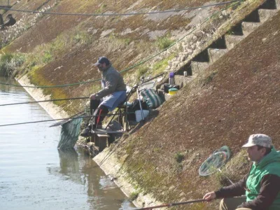 Copains de pêche à la perle