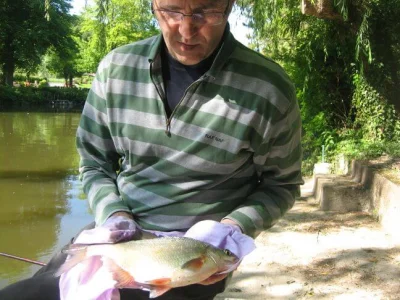 cary et la pêche à la perle