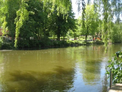 Sambre et la pêche à la perle