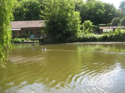 Sambre et la pêche à la perle