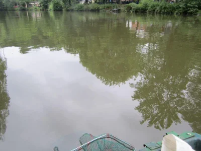 Sambre et la pêche à la perle
