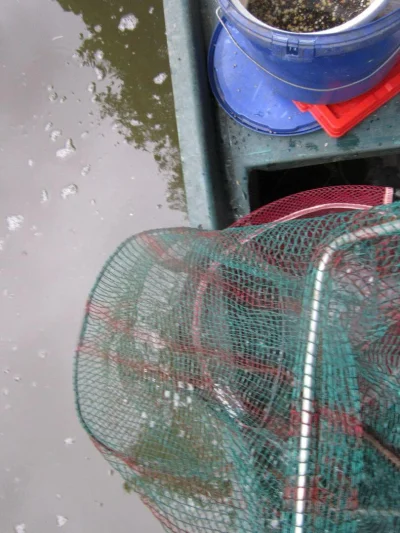bourriche de la pêche à la perle