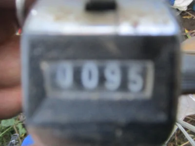 Compteur de 95 gardons pêche à la perle