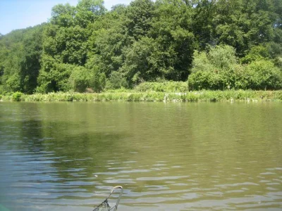 Sambre et la pêche à la perle