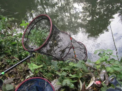 bourriche de la pêche à la perle