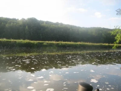 Sambre et la pêche à la perle