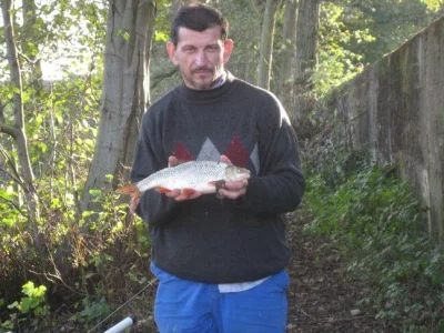 Exceptionnel gardon de 39 cm à la pêche à la perle