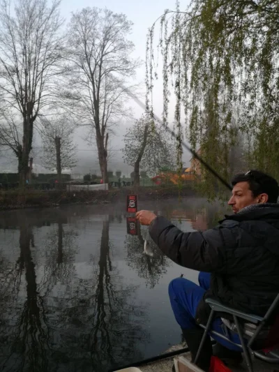 Phil le perleur et la pêche à la perle