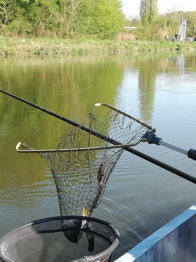 Epuisette de pêche à la perle