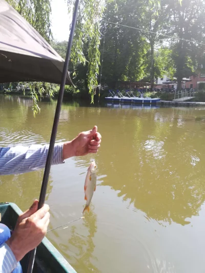 Phil le perleur et la pêche à la perle