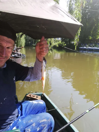 Phil le perleur et la pêche à la perle
