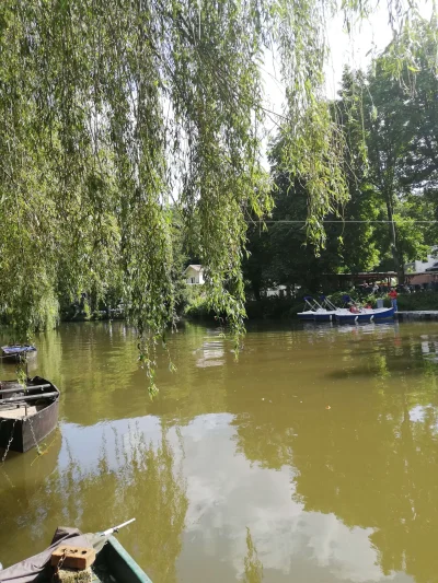 Sambre et la pêche à la perle