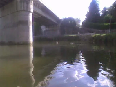 Sambre et la pêche à la perle