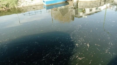 La pêche à la perle du 18 mars 2022