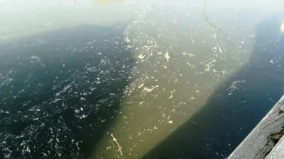 La pêche à la perle du 18 mars 2022