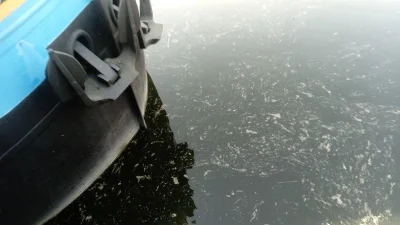 La pêche à la perle du 18 mars 2022