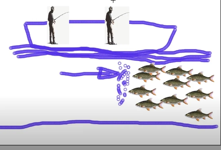 newsletter pêche janvier 2023