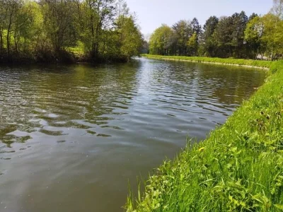 Exploration des rives verdoyantes de Landelies