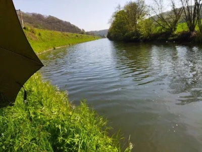 Le charme rustique des berges de Landelies