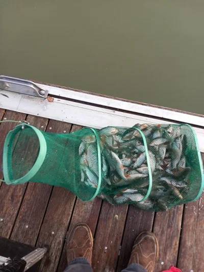 Superbe pêche à la perle en Meuse française