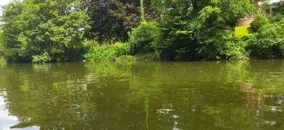 paysages incroyables tout en maîtrisant les techniques de pêche du gardon en déversoir