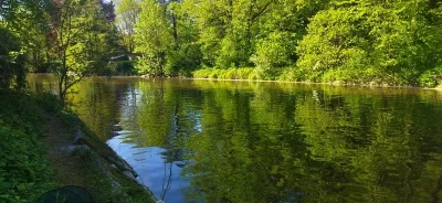 paysage pêche gardon