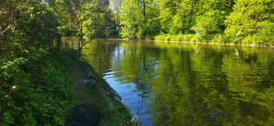 pêche gardon perle landelies