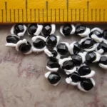 3020formatpanda 3020formatpanda