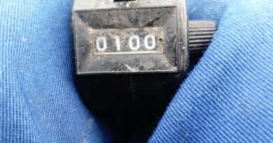 Compteur de 100 gardons pêche à la perle