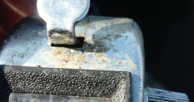 Compteur de 196 gardons pêche à la perle