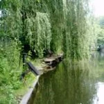 Sambre et la pêche à la perle
