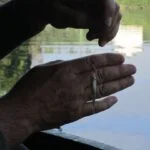 Record de pêche à la perle Record de pêche à la perle