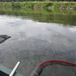 Sambre et la pêche à la perle Sambre et la pêche à la perle