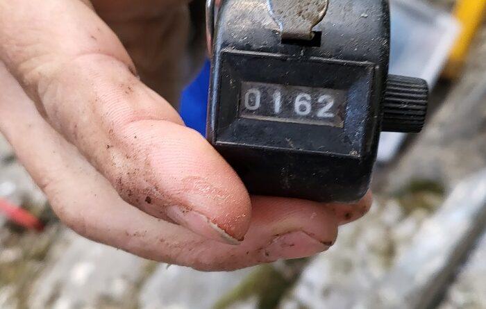 Magnifique record de peche a la perle